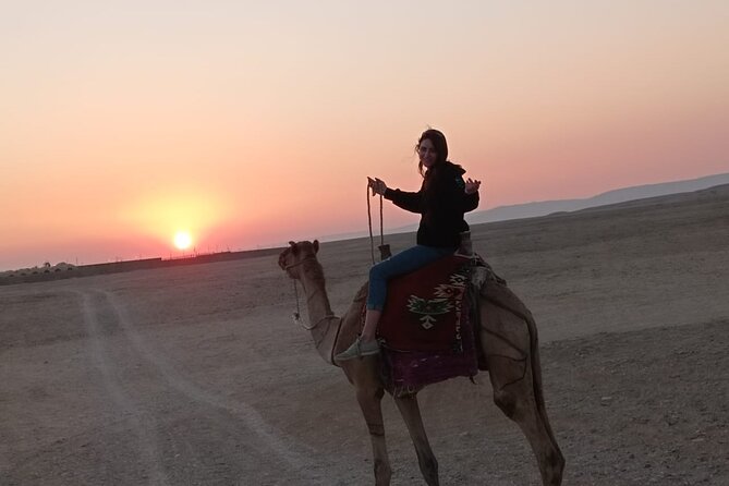 Camel Riding Tour in Luxor West Bank - Customer Reviews