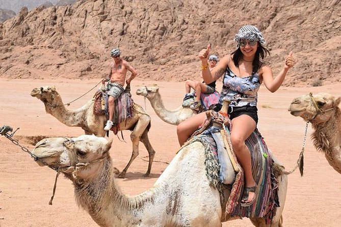 Camel Riding Tour in Sharm El Sheikh Desert - Key Points
