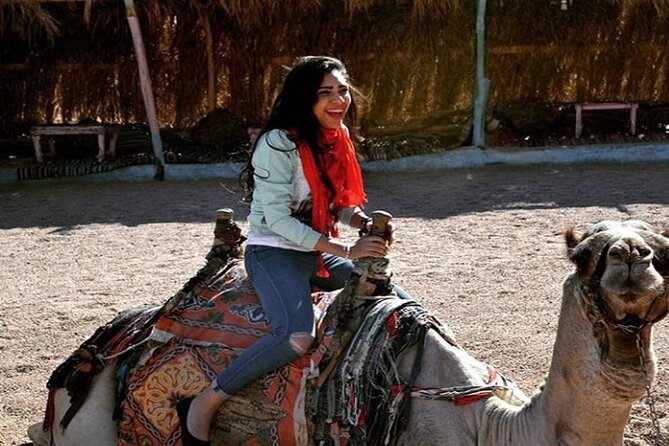 Camel Riding Tour in Sharm El Sheikh Desert - Safety Measures