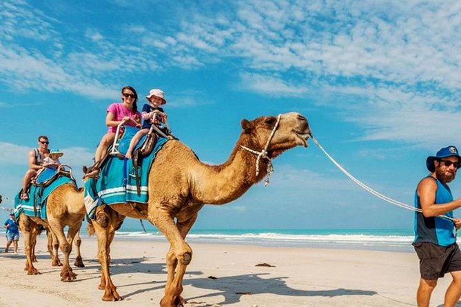 Camel Safari 30 Minutes in White Sand Beach - Customer Reviews and Ratings