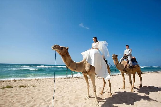 Camel Safari 30 Minutes in White Sand Beach - Preparing for the Adventure