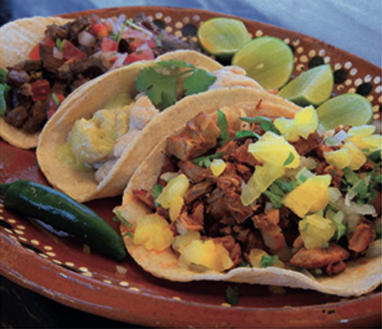 Camel Safari Adventure With Tacos - Key Points