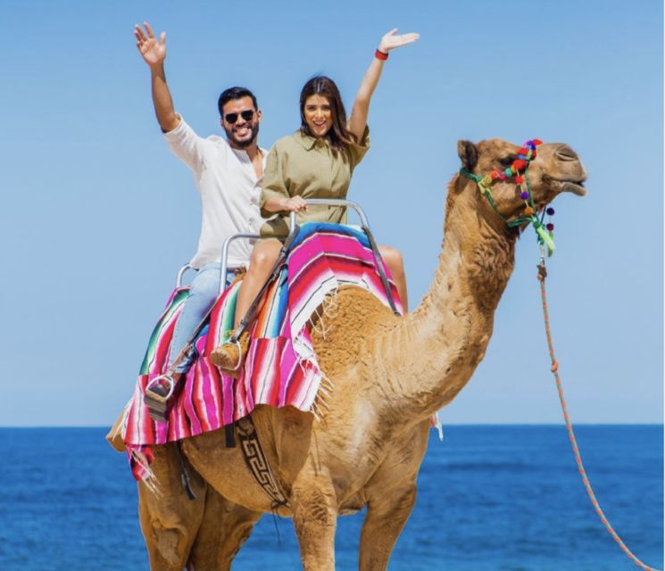 Camel Safari Adventure With Tacos - Important Information