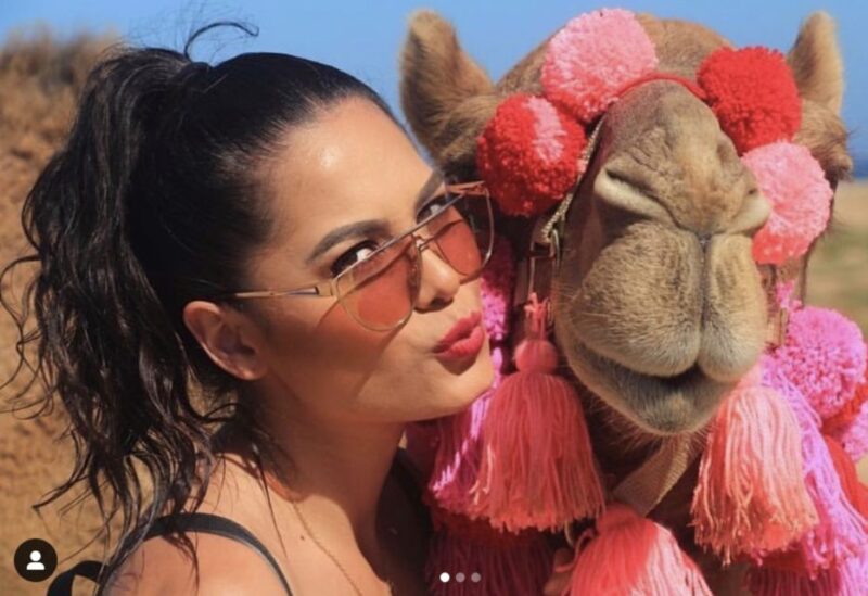 Camel Safari Adventure With Tacos - Customer Feedback