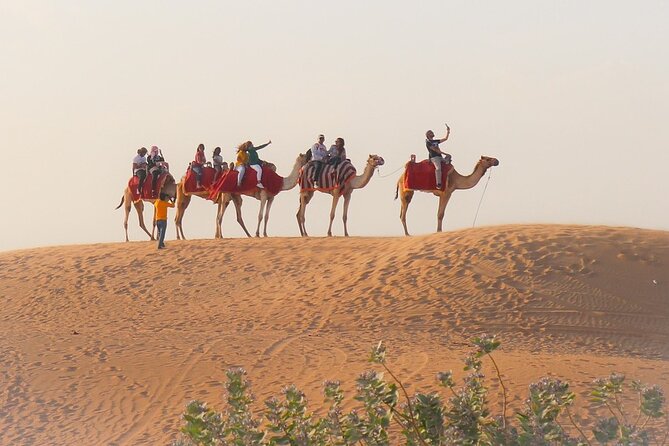 Camel Safari at Osian Review - Meeting and Pickup Details