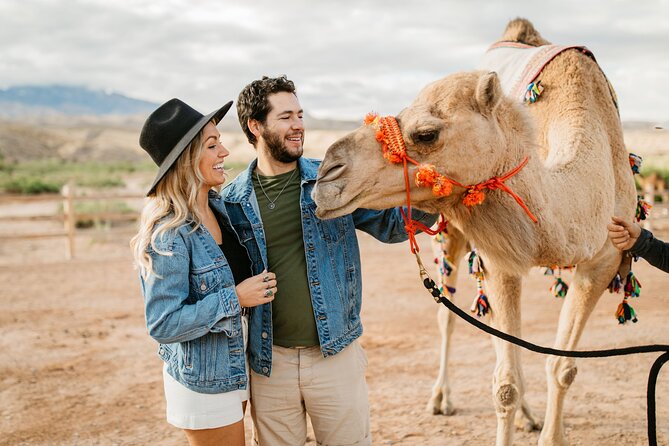 Camel Safari - Camel Ride and Zoo Tour - Admission and Tour Features