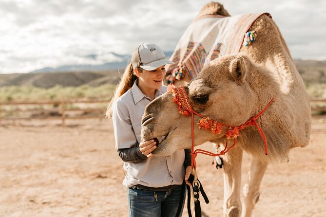 Camel Safari - Camel Ride and Zoo Tour - Additional Information