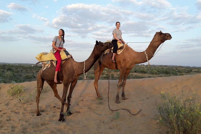 Camel Safari Experience With Locals - Good To Know