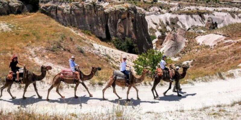 Camel Safari in Cappadocia - Customer Feedback