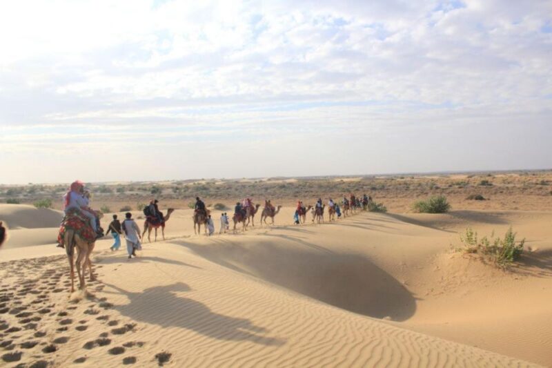Camel Safari in Osian Desert - Pickup and Arrival