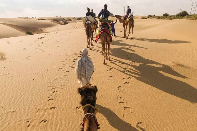 Camel Safari in Thar Desert - Meeting and Pickup Details