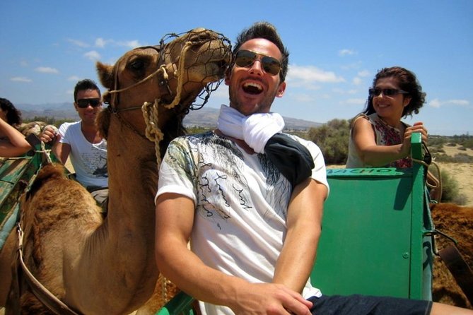 Camel Safari Through the Dunes of Maspalomas - Inclusions and Accessibility