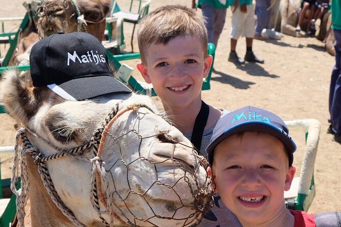Camel Safari Through the Dunes of Maspalomas - Traveler Reviews and Feedback