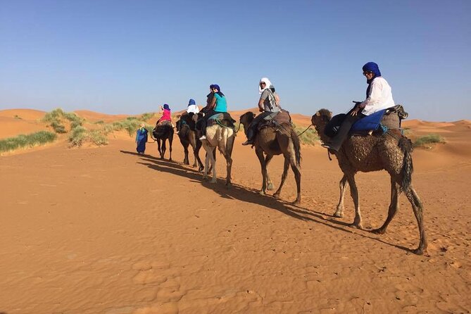 Camel Trek With 1 Night in Luxury Camp With Dinner+ Sundbording - Confirmation and Accessibility