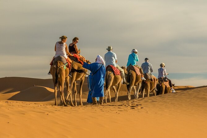 Camel Trek With 1 Night in Luxury Camp With Dinner+ Sundbording - Group Size and Operator