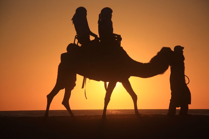 Camel Trek With 1 Night in Luxury Camp With Dinner+ Sundbording - Notable Experiences and Celebrations