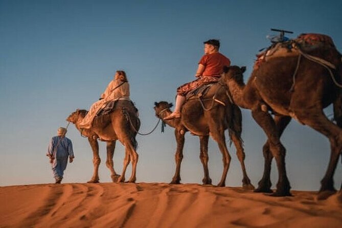 Camel Trekking & 1 Night in Sahara Desert Camp - Additional Information and Cancellation Policy