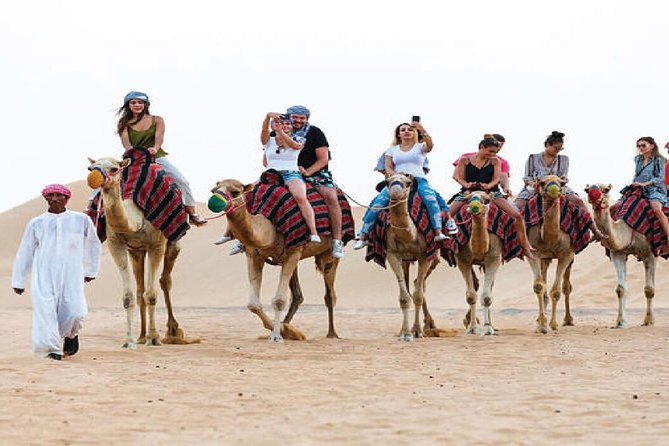 Camel Trekking and Morning Safari With Sand Boarding - Transportation and Logistics