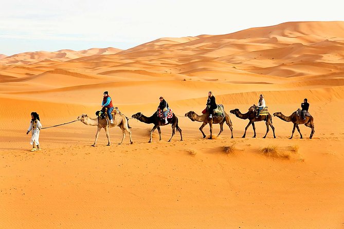 Camel Trekking Dubai With Dune Bashing and Sand Boarding - Camel Trekking Experience