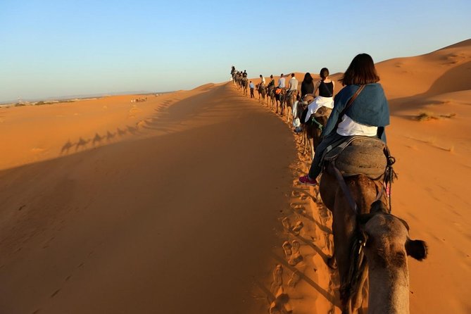 Camel Trekking in Desert Merzouga for 1Night In Merzouga - Meeting Point and Pickup Information