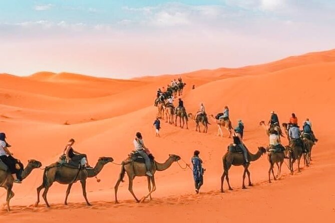 Camel Trekking in Desert Merzouga for 1Night In Merzouga - Highlights of the Camel Trekking Tour