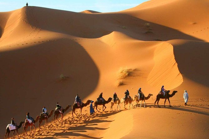 Camel Trekking & Overnight Luxury Camp - Music and Fire Show