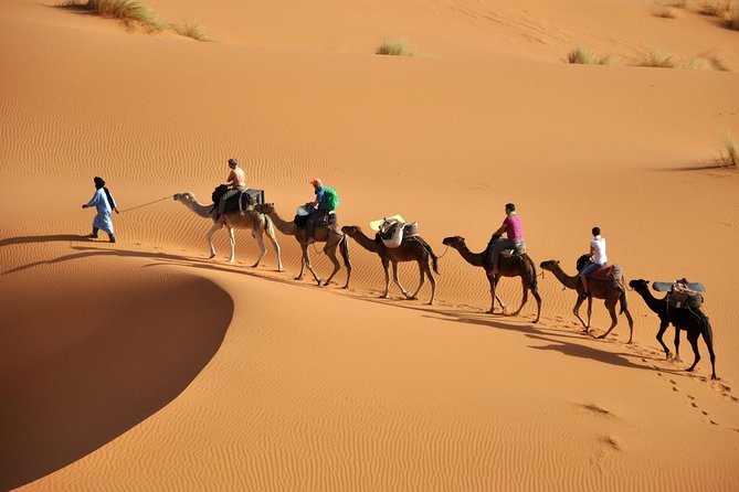 Camel Trekking & Overnight Luxury Camp - Booking and Confirmation Details