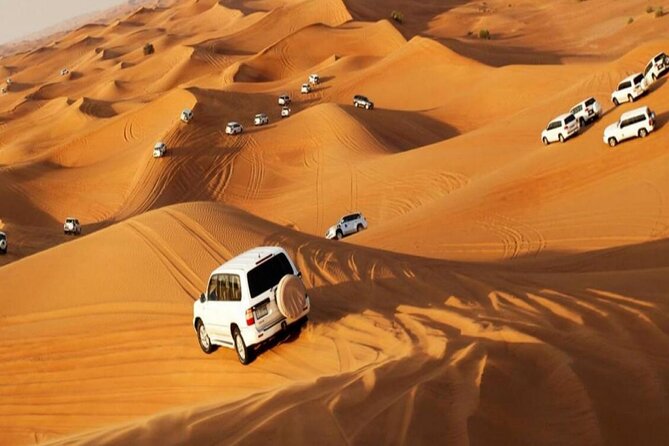 Camel Trekking Tour in Dubai Desert | BBQ Dinner| Sand Boarding| Live Shows... - Customer Reviews and Ratings