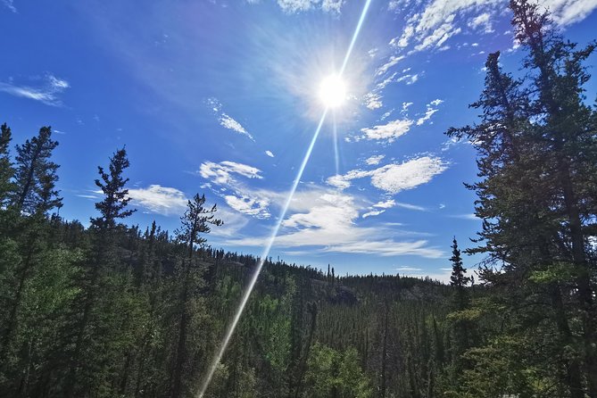 Cameron Falls Hiking Tour - Contact and Booking