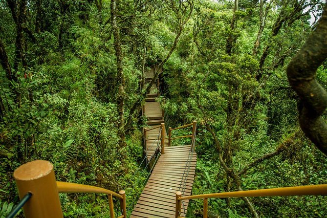 Cameron Highland Day Tour From Kuala Lumpur - Experiencing Local Culture