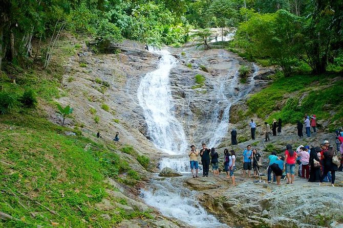 Cameron Highland Day Tour From Kuala Lumpur - Customer Testimonials and Ratings