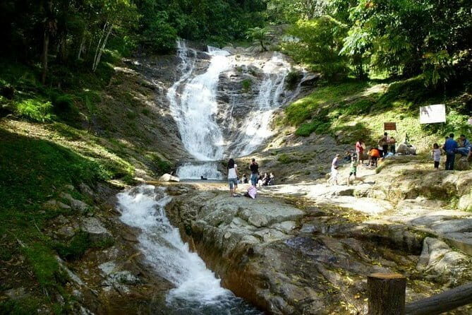 Cameron Highland Day-Trip from Kuala Lumpur - Practical Insights and What to Expect