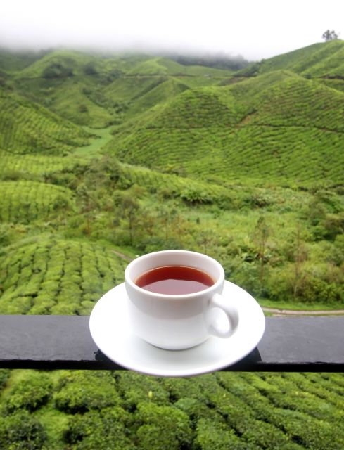 Cameron Highlands 1 Day Tour From Kuala Lumpur - Included Services