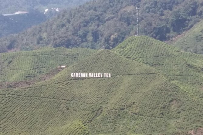 Cameron Highlands 3 Days 2 Night Tours Private (per Vehicle) - Itinerary Highlights