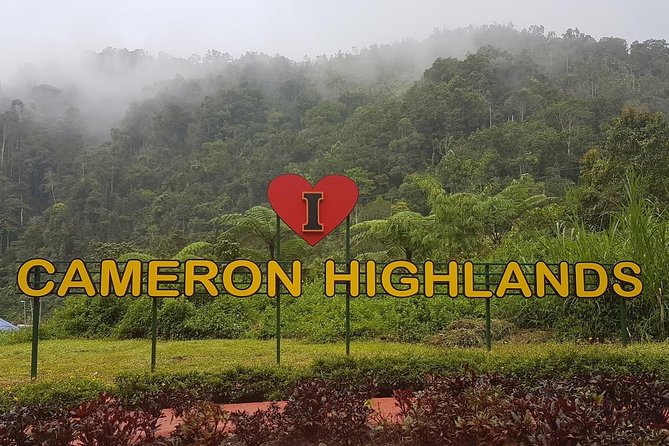 Cameron Highlands Amazing Day Trip Tour With Local Lunch - Good To Know