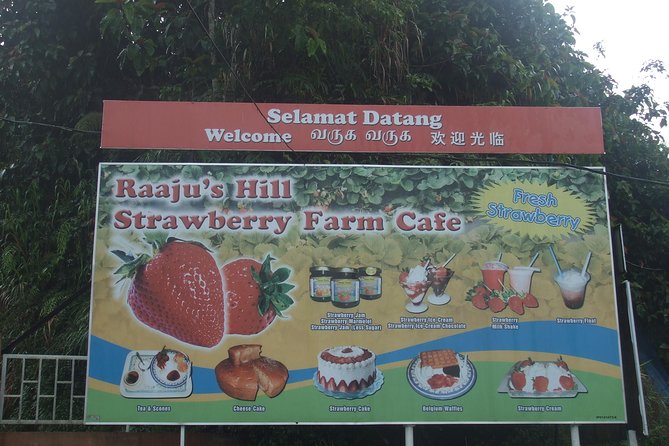 Cameron Highlands Amazing Day Trip Tour With Local Lunch - Included Amenities