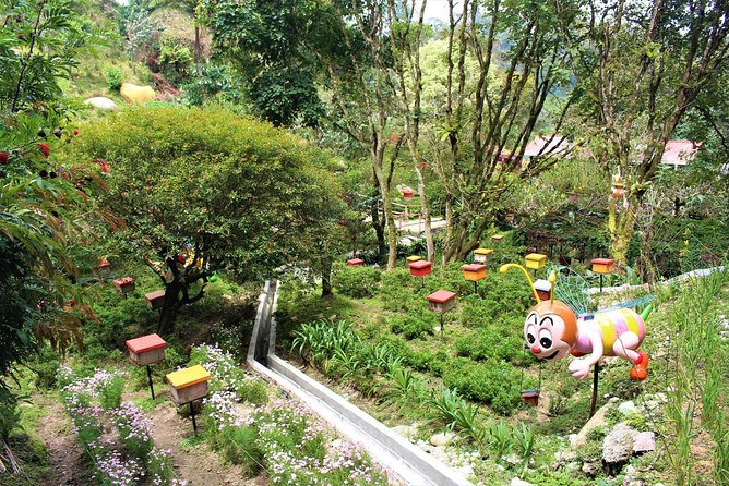Cameron Highlands Day Tour From Kuala Lumpur - Accessibility and Requirements