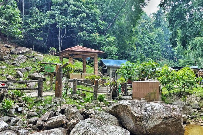 Cameron Highlands Day Tour From Kuala Lumpur With Lunch (Sic - Shared Tours) - Butterfly Garden Visit