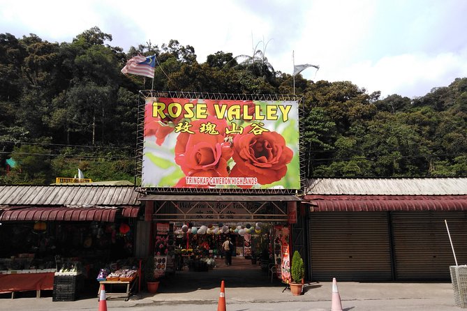 Cameron Highlands Day Trip - Tour Highlights