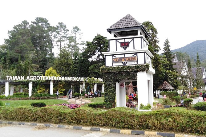 Cameron Highlands Day Trip - Visitor Experiences