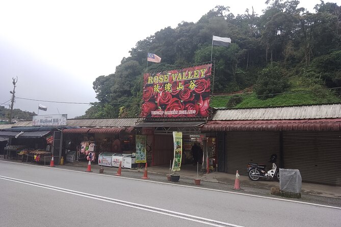 Cameron Highlands Day Trip - What to Expect