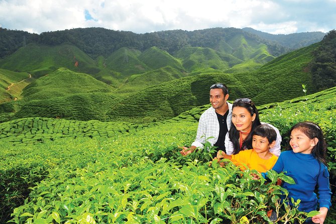 Cameron Highlands Full Day Tour (Pick up From Kuala Lumpur) - Getting to the Highlands
