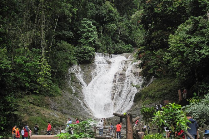 Cameron Highlands, Garden of Nature Full Day Private Guided Tour - Cameron Highlands Highlights