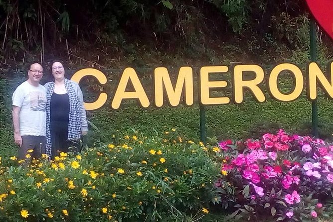 Cameron Highlands Sunrise Discovery - Tour Itinerary