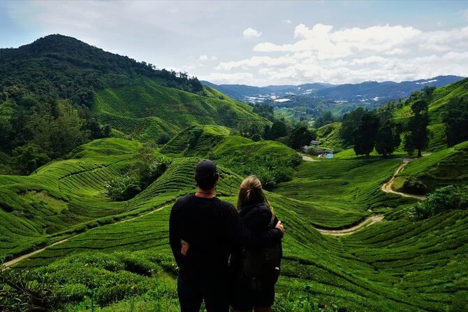 Cameron Highlands Tour From Kuala Lumpur - Inclusions and Exclusions