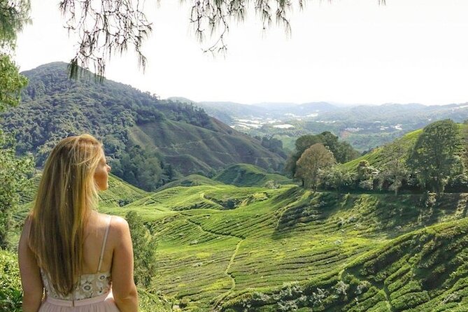 Cameron Highlands Tour From Kuala Lumpur - Tour Highlights