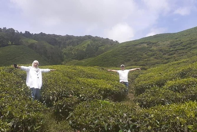Cameron Highlands Tour From Kuala Lumpur (Special Deal) - Inclusions and Exclusions