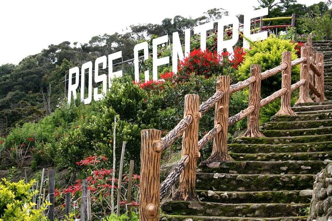 Cameron Highlands Tour With Lunch on Private Basis - Natural Beauty of Cameron Highlands