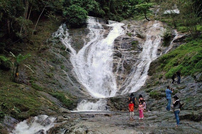 Cameron Highlands Tour With Lunch on Private Basis - Pricing and Booking Details