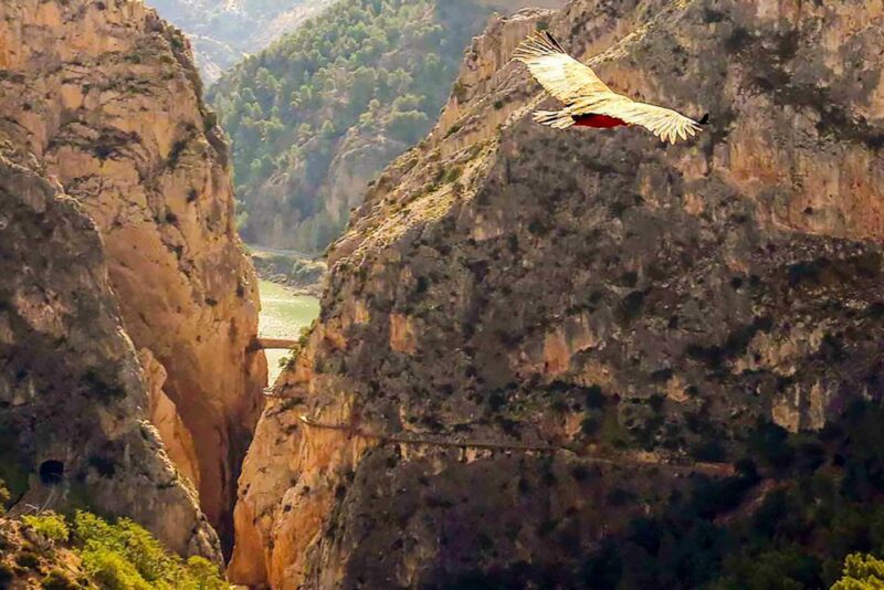 Caminito Del Rey: Entry Ticket - Key Points